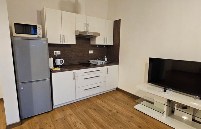 MVA House Teplice - Foto 9