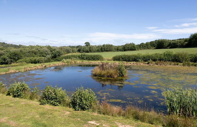 Mallard s Rest - Countryside Hot Tub - Foto 22