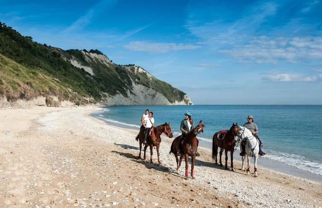 ⭐ SeaSide⭐ | 100 m dal Mare Love & Family Wi-Fi AC - Photo 9