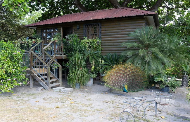 Quinta Pavo Real Complex by Acomodo - Foto 11