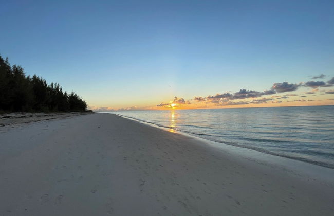 NEW Stunning Beachfront Condo at the Coral Beach - Foto 47