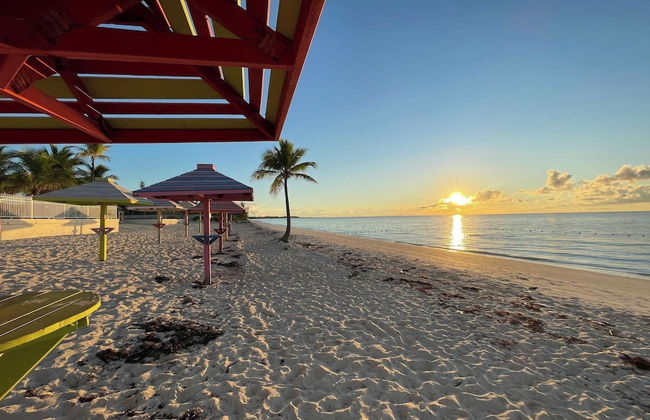 NEW Stunning Beachfront Condo at the Coral Beach - Foto 48