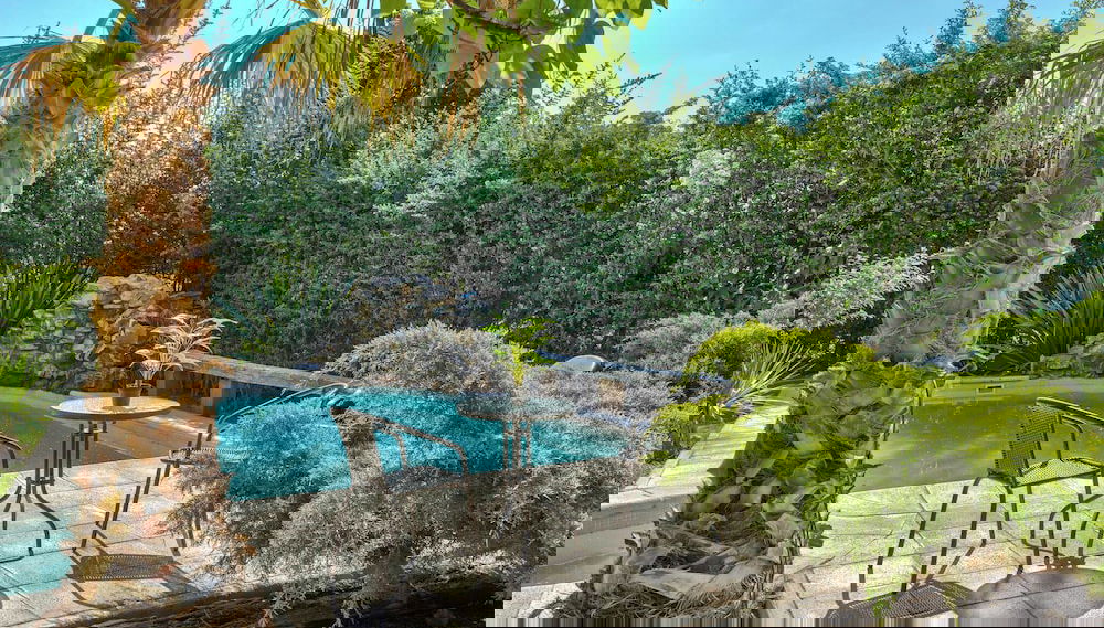 Imagem principal
