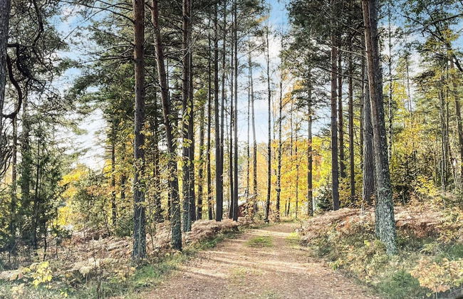 4 Star Holiday Home in Fengersfors - Photo 30