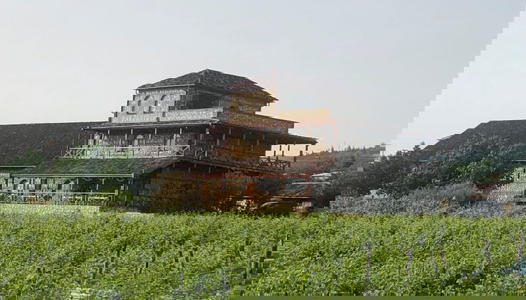 Foto 1 - Elizbar Talakvadze Winery