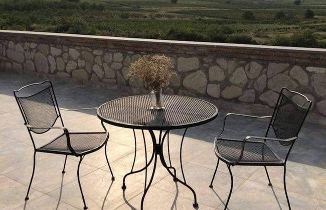Elizbar Talakvadze Winery - Photo 13