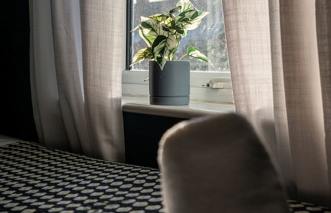 Lowell Street - Cosy 2 BD in Worcester - Foto 3