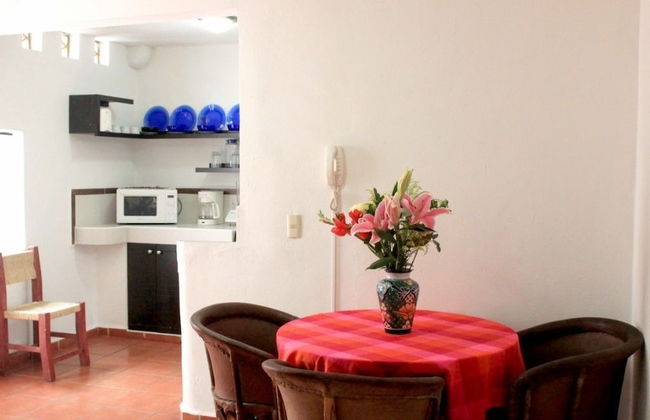 La Iguana Vallarta LGBT - Adults Only - Romantic Zone - Party Clubbing Street - Foto 38