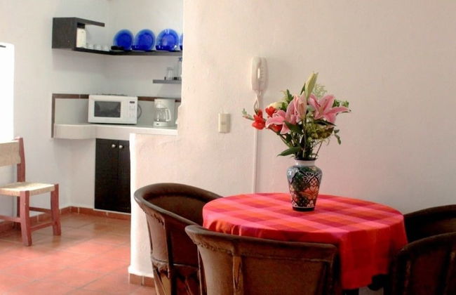 La Iguana Vallarta LGBT - Adults Only - Romantic Zone - Party Clubbing Street - Foto 33