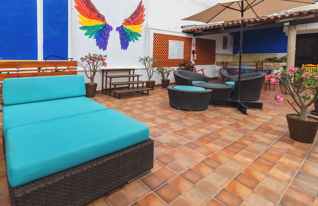 La Iguana Vallarta LGBT - Adults Only - Romantic Zone - Party Clubbing Street - Foto 28