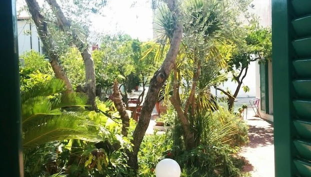 Vistas desde la habitación