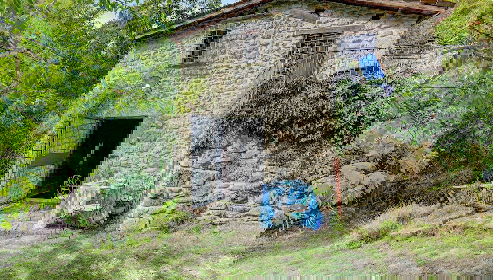 Imagem principal