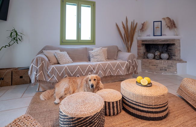 Ventu Paros Villa - Foto 37