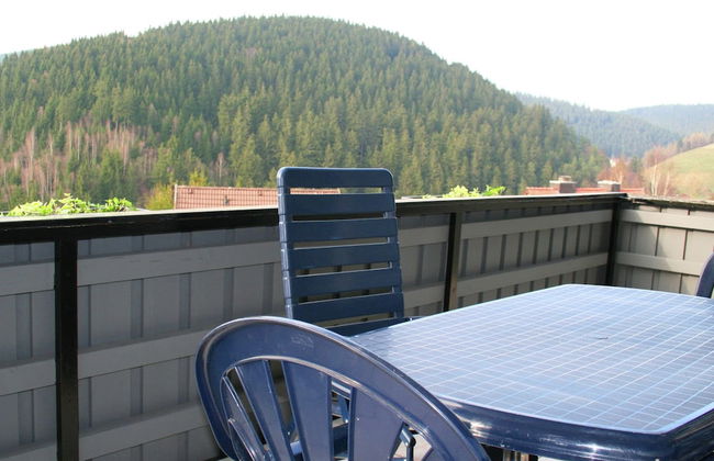 Spacious Holiday Home in Wildemann With Garden - Foto 47