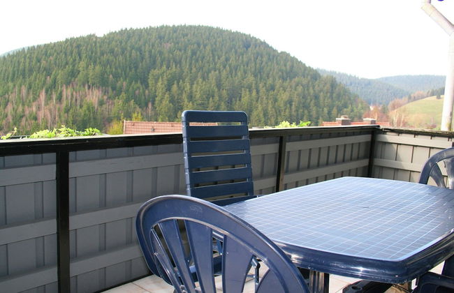 Charming Apartment in Wildemann With Garden - Foto 11