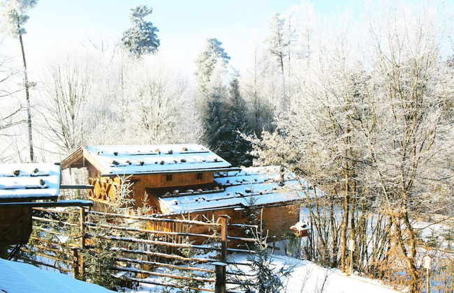 Eco-friendly Chalet Near the Lake in Asten - Foto 41