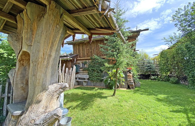 Exclusive Bio-almhutte mit Vielen Extras in Asten - Foto 12