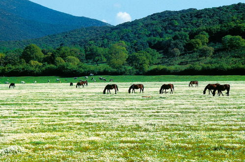 Foto 26 - Agriturismo La pulledraia