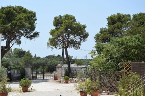 Photo 30 - Masseria Belvedere