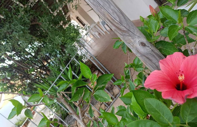 Masseria Belvedere - Foto 38