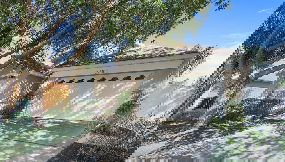 Image principale