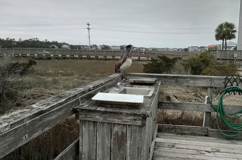 Photo 43 - Seawatch Inn at the Landing