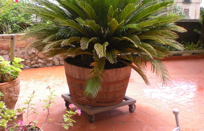 L'Argine Fiorito - Photo 33