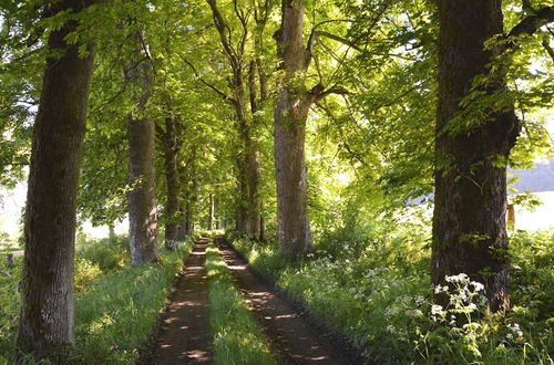 Photo 26 - The Right Wing of the Castle of Roumont