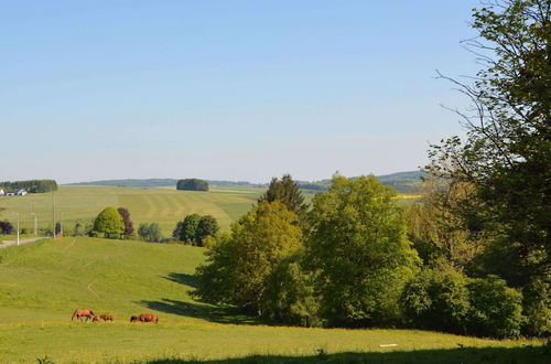 Photo 24 - The Right Wing of the Castle of Roumont