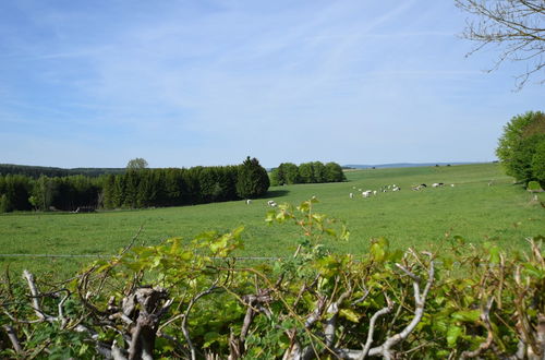 Photo 39 - Spacious Holiday Home La Roche-en-ardenne Withpool