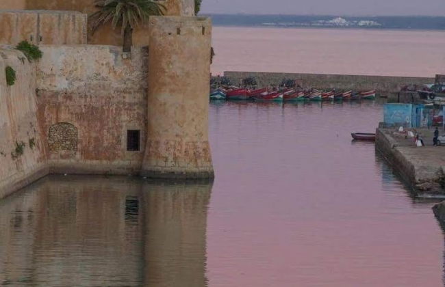 Dar Beldi - Foto 48