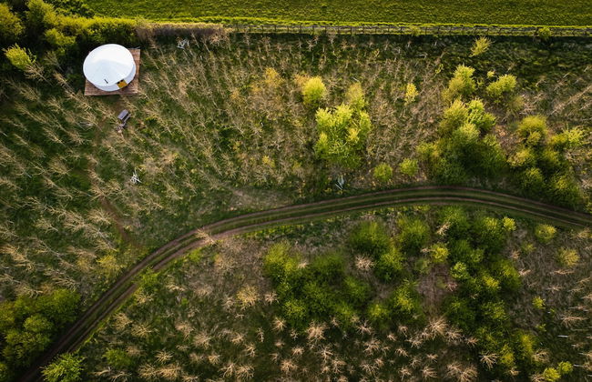 Overe - The Farm Camp - Foto 11