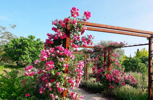 Photo 51 - La Maison de Noélie - rez de jardin