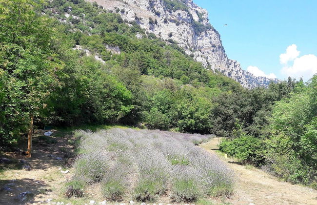 La Maison de Noélie - rez de jardin - Foto 41