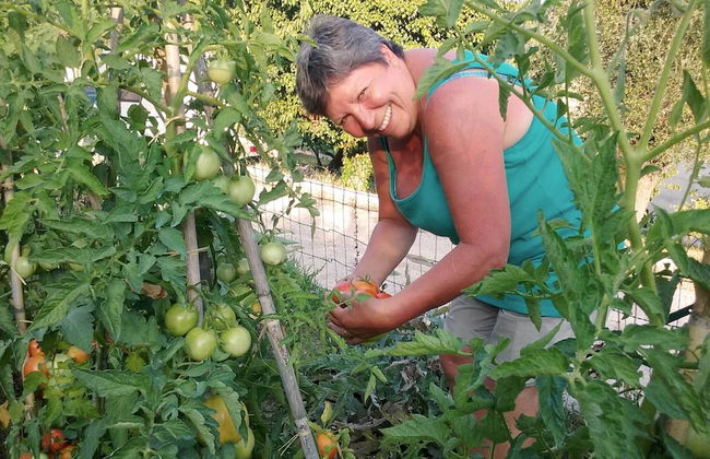 La Maison de Noélie - rez de jardin - Foto 9
