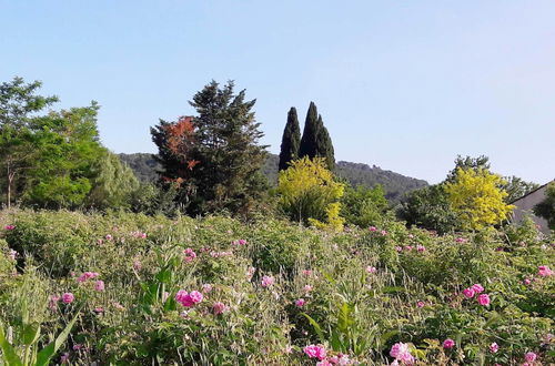 Photo 52 - La Maison de Noélie - rez de jardin