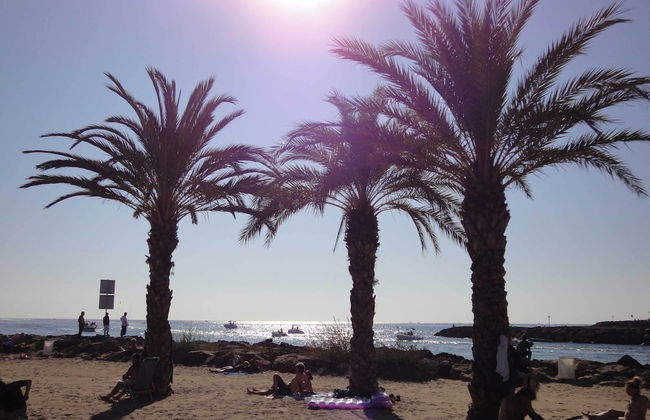 La Maison de Noélie - rez de jardin - Foto 48