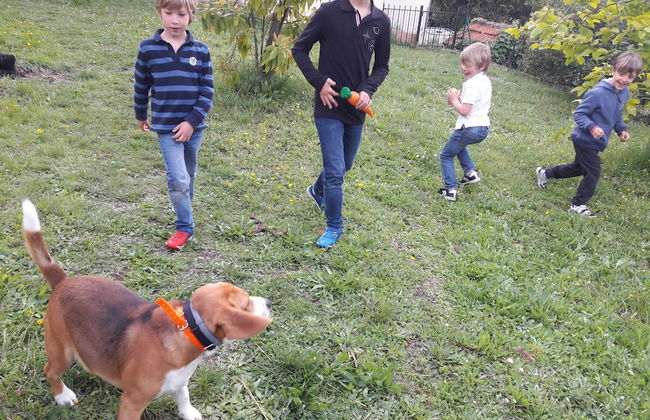 La Maison de Noélie - rez de jardin - Foto 18