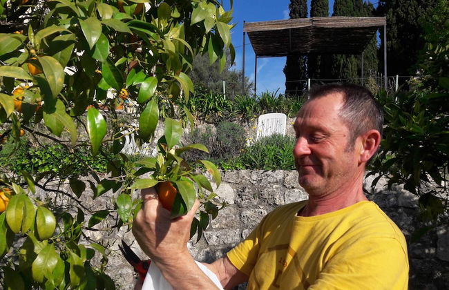 La Maison de Noélie - rez de jardin - Foto 16