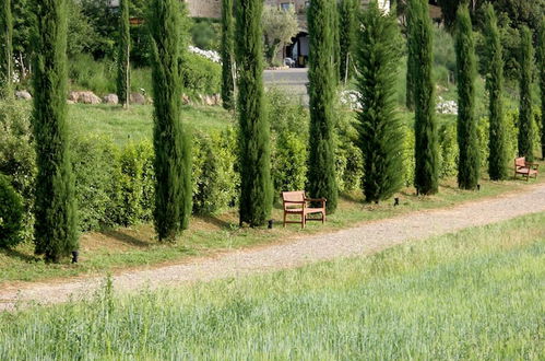 Photo 74 - Tenuta Sant'Ilario