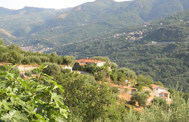 Agriturismo Don Cesarino - Foto 1
