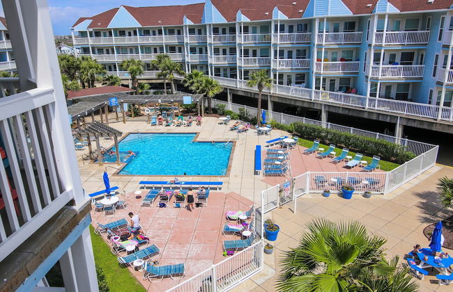 Seascape 1110 - Parrot Paradise - Foto 17