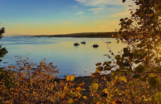 Lucky Stone Retreat - Private Beach & Acadia View - Foto 38