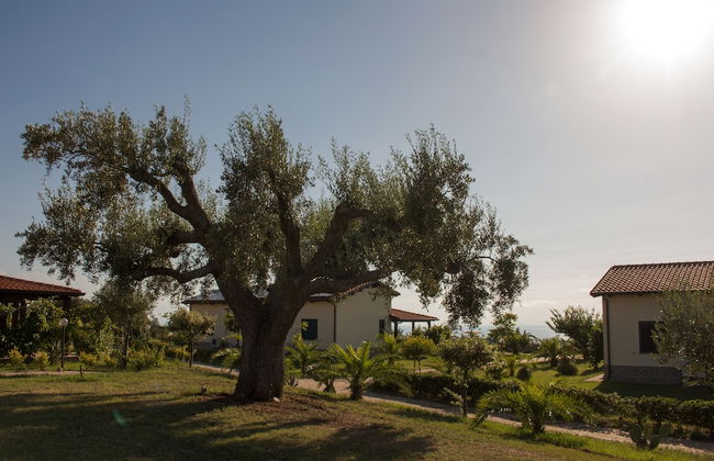 Agriturismo Ninea - Foto 13