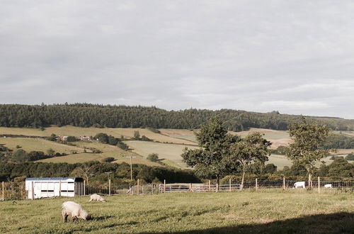 Photo 15 - The Grainary Cottages