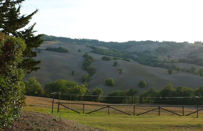 Agriturismo il Palagetto - Foto 41