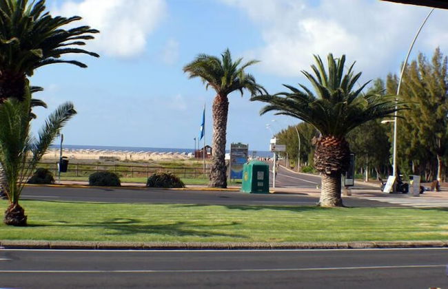 Palm Garden Apartments - Foto 39