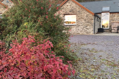 Photo 24 - Bryn Eithin Cottage Far From the Madding Crowd