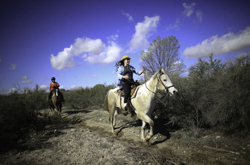 Foto 47 - Tanque Verde Ranch