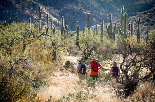 Photo 74 - Tanque Verde Ranch